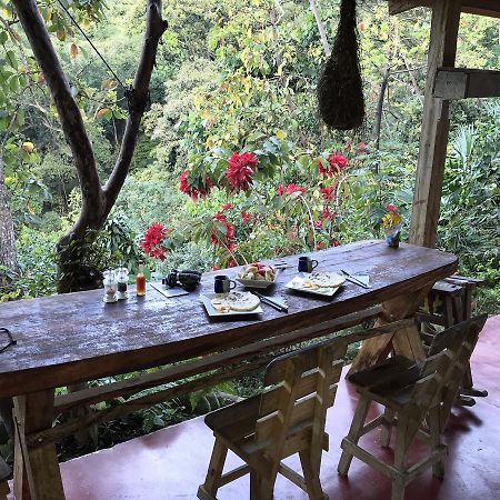 Finca San Rafael - Cafe Y Cacao Minca Εξωτερικό φωτογραφία