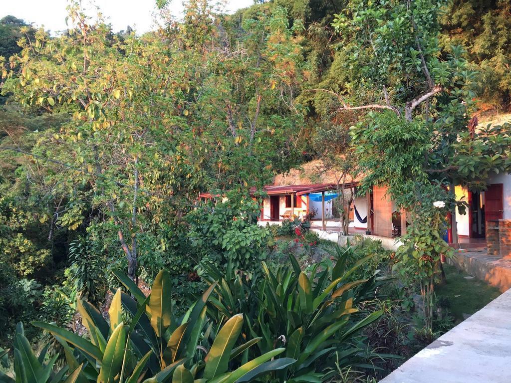 Finca San Rafael - Cafe Y Cacao Minca Εξωτερικό φωτογραφία