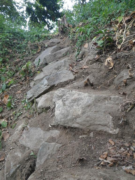 Finca San Rafael - Cafe Y Cacao Minca Εξωτερικό φωτογραφία