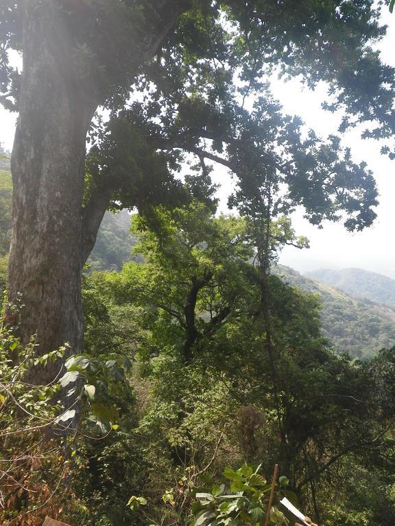 Finca San Rafael - Cafe Y Cacao Minca Εξωτερικό φωτογραφία