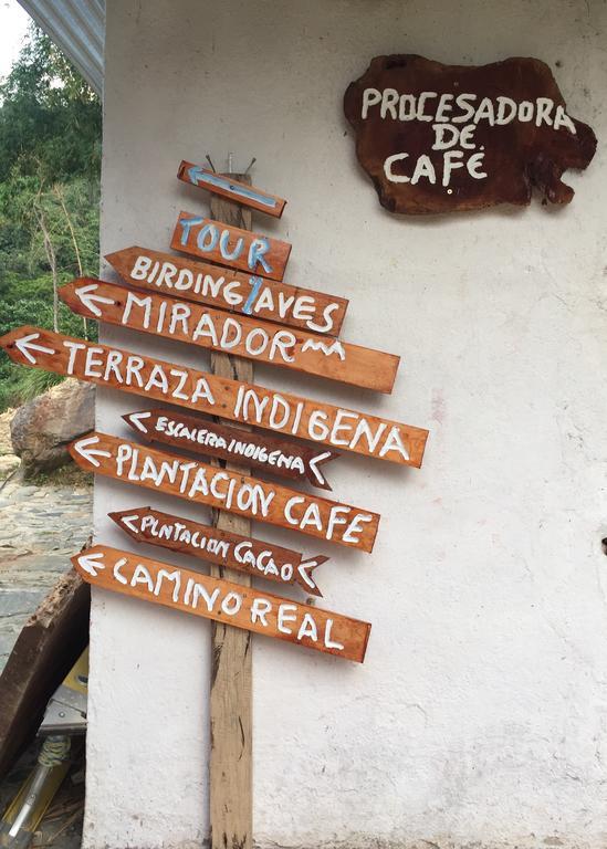 Finca San Rafael - Cafe Y Cacao Minca Εξωτερικό φωτογραφία