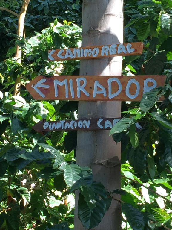 Finca San Rafael - Cafe Y Cacao Minca Εξωτερικό φωτογραφία