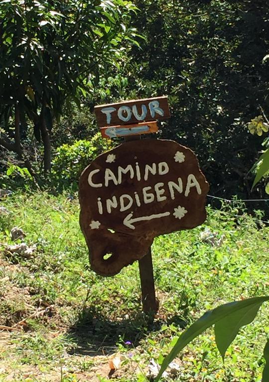 Finca San Rafael - Cafe Y Cacao Minca Εξωτερικό φωτογραφία