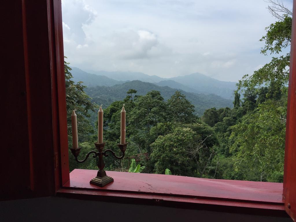 Finca San Rafael - Cafe Y Cacao Minca Εξωτερικό φωτογραφία