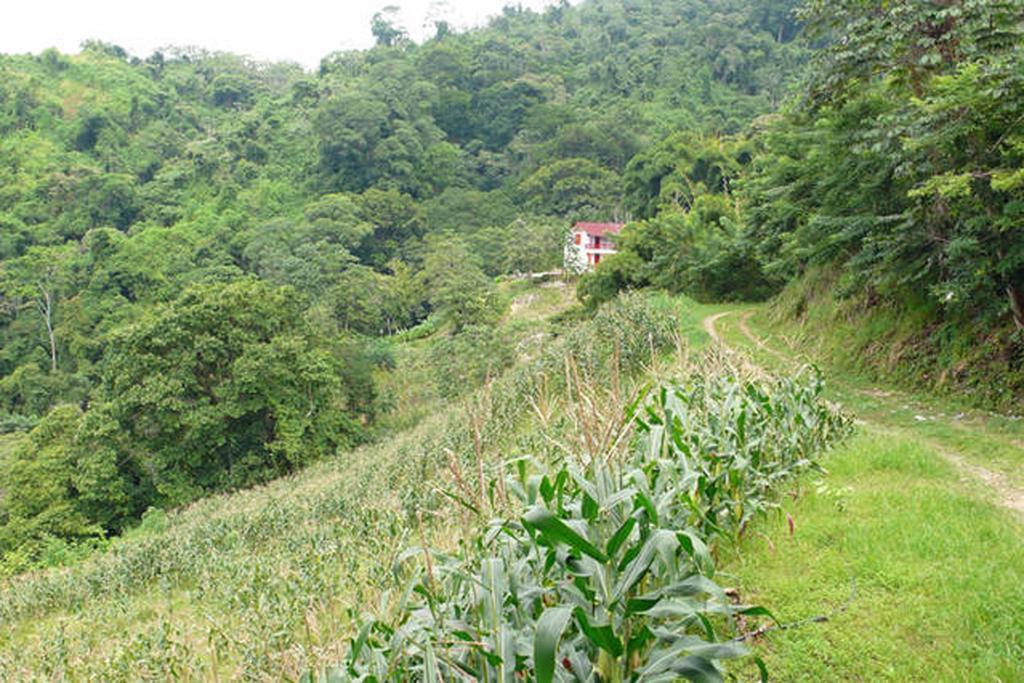Finca San Rafael - Cafe Y Cacao Minca Εξωτερικό φωτογραφία