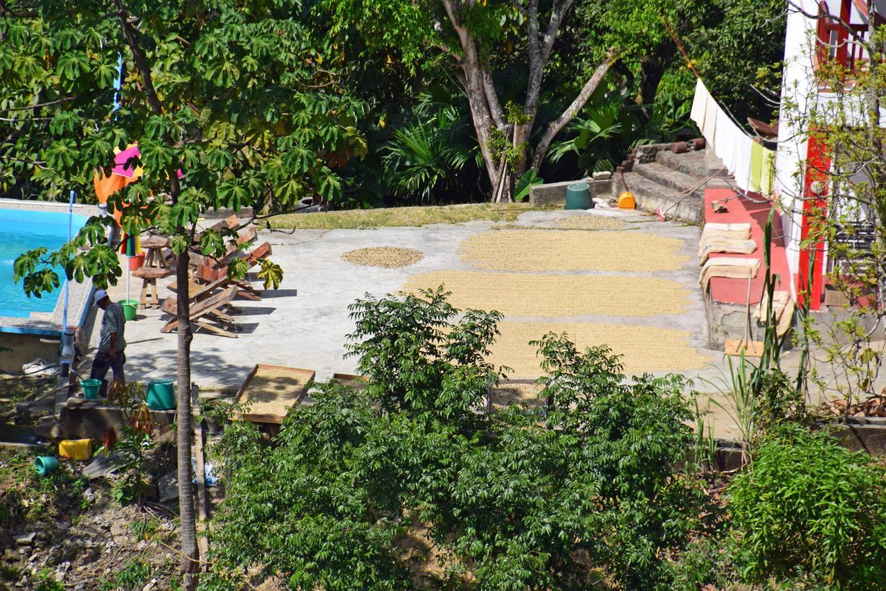 Finca San Rafael - Cafe Y Cacao Minca Εξωτερικό φωτογραφία